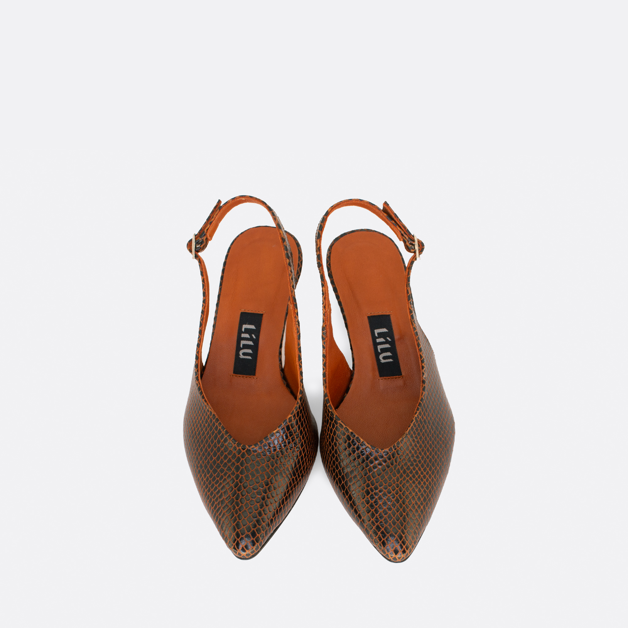 774a Crna zmija 03 - Lilu shoes